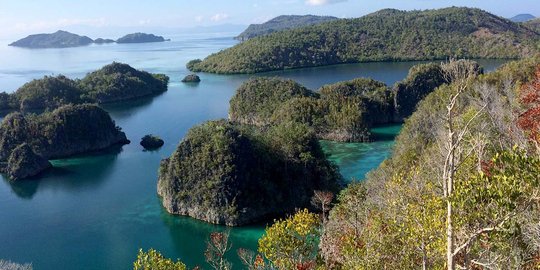 Di GATF, harga tiket ke Raja Ampat lebih mahal daripada ke Hong Kong