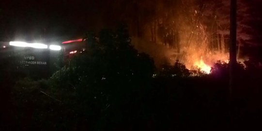 Taman Hutan Raya di Aceh Besar kembali terbakar