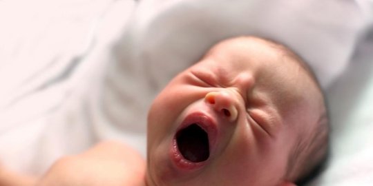 sampah bayi ini dimakan semut rev2