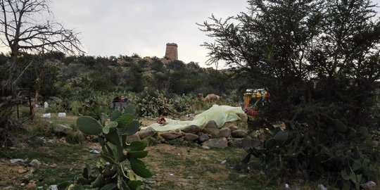 Serunya wisata nikmati kesejukan Taif di Makkah mirip Puncak Bogor