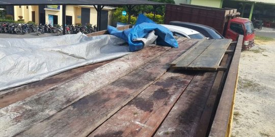 Ogah bermasalah dengan TNI, polisi bebaskan pelaku illegal logging