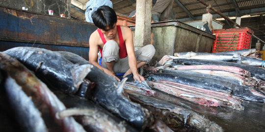 Pengusaha tak terima dituding jadi mafia di Muara Baru