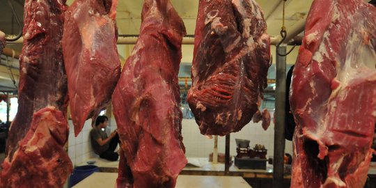 Kadin fasilitasi pemerintah ekspor daging sapi dari Amerika Latin