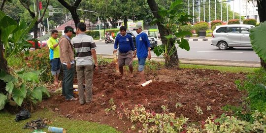 Perbaikan taman depan kantor Ahok yang rusak habiskan Rp 65 juta