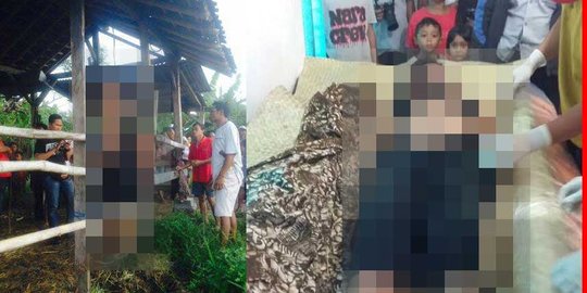 Kalah sabung ayam, I Kadek Suwastika gantung diri di gudang tetangga