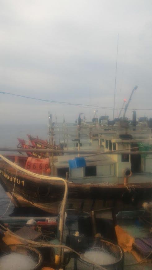 bakamla ri tangkap 4 kapal pencuri ikan