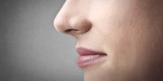 untuk meringkas pori pori hidung