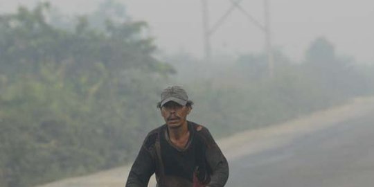 Cegah kebakaran hutan, pemerintah siapkan sistem peringatan dini