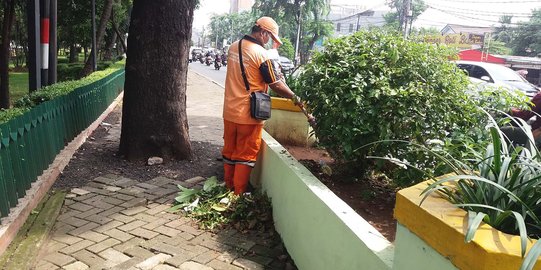 Menengok aksi pasukan orange berburu tikus di Taman Pejaten Barat