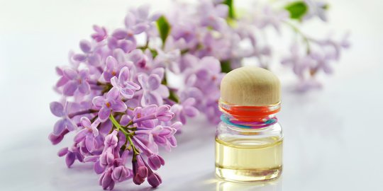 minyak lavender