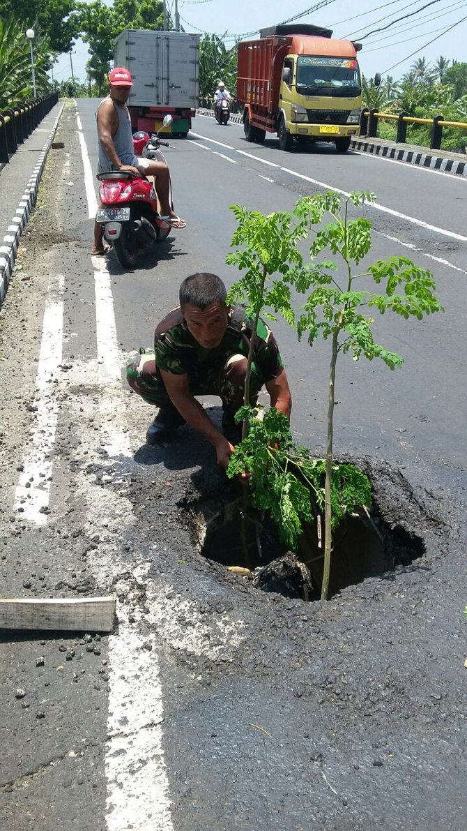 jalan rusak ditanami pohon