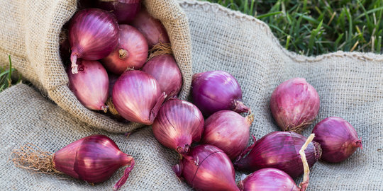 Penyelundupan 9 ton bawang merah digagalkan, 5 ABK ditangkap