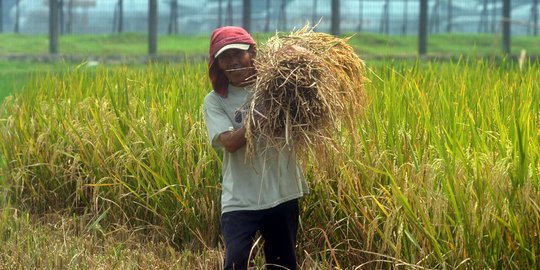 Pemerintah minta petani lakukan irigasi pompa dari BBM ke listrik