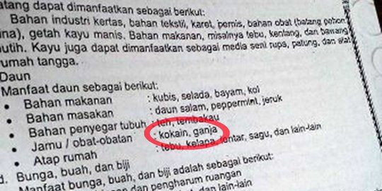 Potret pendidikan Tanah Air, pornografi sampai narkoba masuk di LKS