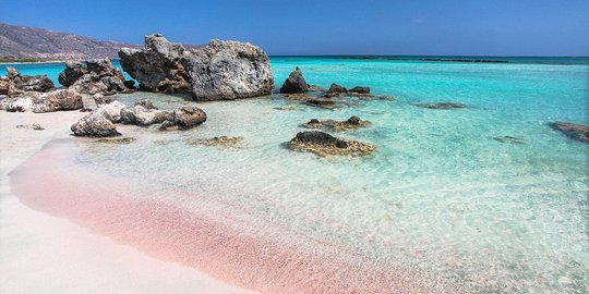 Cantiknya pantai pink di berbagai negara, Indonesia juga punya