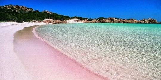 Surga tropis merah jambu Budelli, dilihat boleh, dipegang jangan