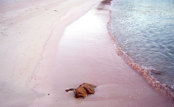 spiaggia rosa budelli italia