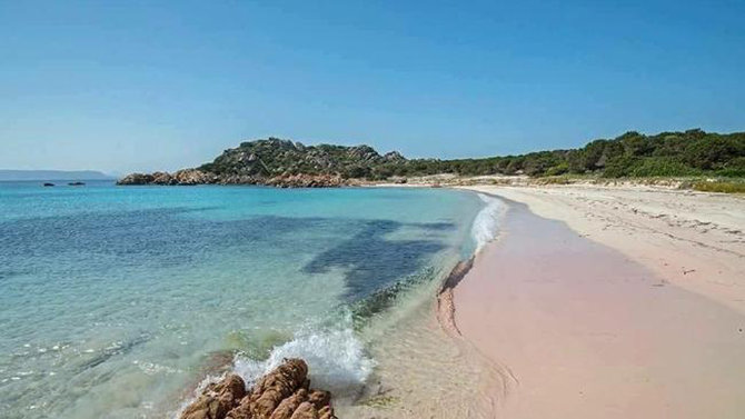 pink beach budelli italia