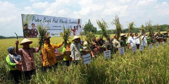 Mentan hadiri panen raya benih padi hibrida Sembada di Ngawi