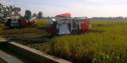 Tahun ke-3 Jokowi, Mentan Amran ekspor pangan dari pulau terluar