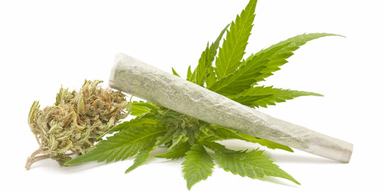 Bawa ganja 1 ton, sopir dan kernet truk di Tol Bambu Apus diamankan