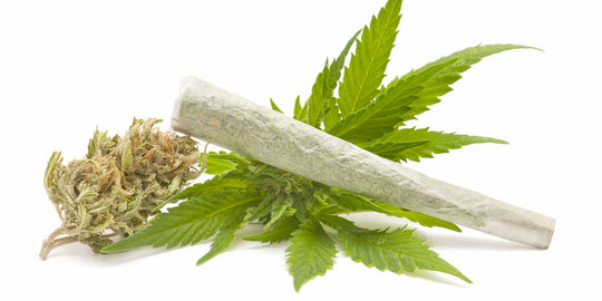 Diselundupkan ke Jakarta, ganja 1 ton disamarkan menjadi beras