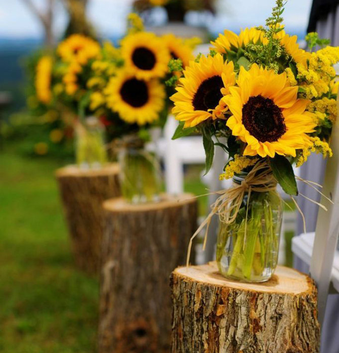ilustrasi bunga matahari untuk dekorasi pernikahan