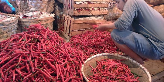 Pasokan lancar, harga cabai bergerak turun