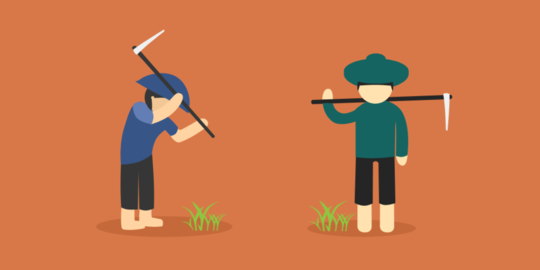 tidak besar dan harganya murah