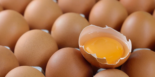 Makan sebutir telur per hari, cara ampuh cegah penyakit stroke