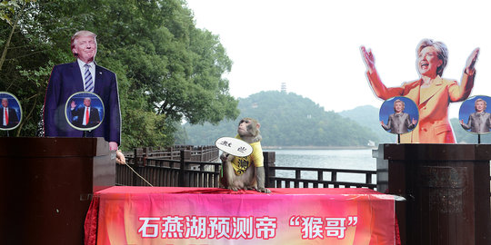 Aksi lucu seekor moyet di China ramal hasil Pemilu AS