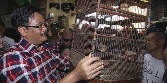 Ramai demo Ahok, Djarot asyik main burung di Pasar Pramuka