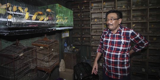 Djarot minta pelaku vandalisme berbau SARA di pos pemenangan dikejar