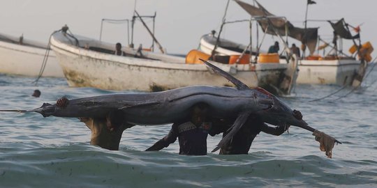 Potret kehidupan pemburu 'monster laut' Samudera Hindia