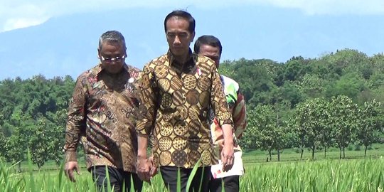 Dinginkan suasana usai demo 4 November, Jokowi temui prajurit TNI