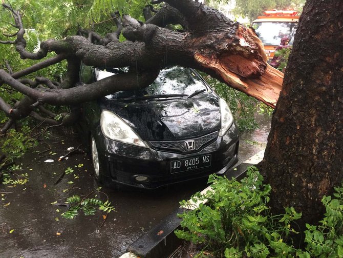 pohon tumbang timpa mobil di solo