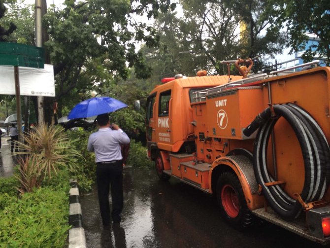 pohon tumbang timpa mobil di solo