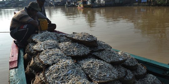 Pemkab Kepulauan Seribu bikin dua pulau percontohan pengolahan ikan