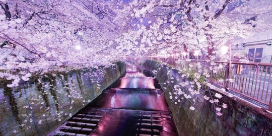 hebat, kebersihan di 7 negara ini bikin takjub seluruh dunia