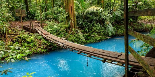 hebat, kebersihan di 7 negara ini bikin takjub seluruh dunia