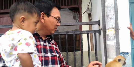 Warga yang tolak Ahok kampanye bisa dipidana