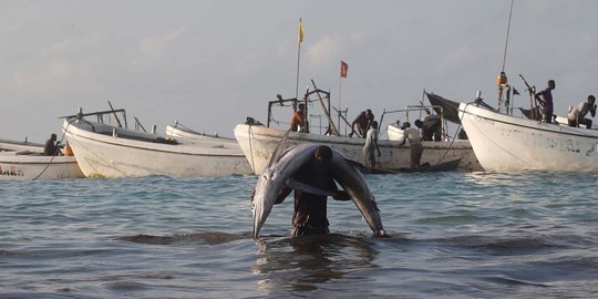 KKP: Impor ikan tidak sama dengan sapi dan bawang merah