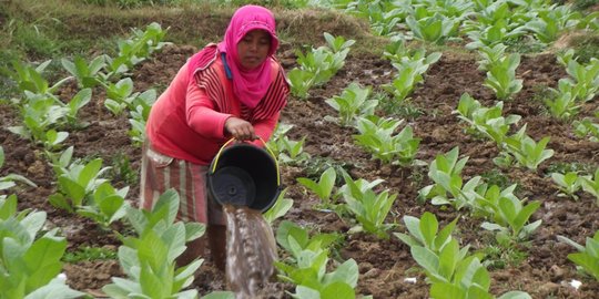 Soal RUU Tembakau, DPR dinilai gadai kesehatan & masa depan anak