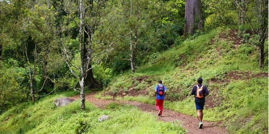 Hobi berolahraga sambil selfie, yuk ikuti Banyuwangi Ijen Green Run