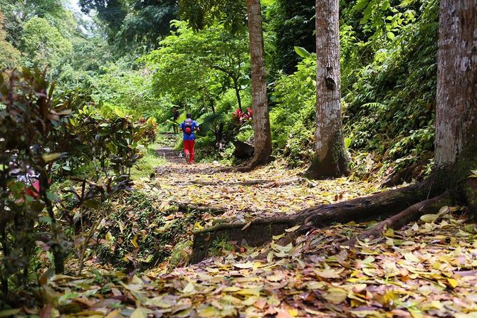 banyuwangi ijen green run