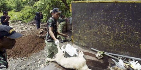 waspada, ini 5 penyakit mematikan yang ditularkan hewan di sekitarmu