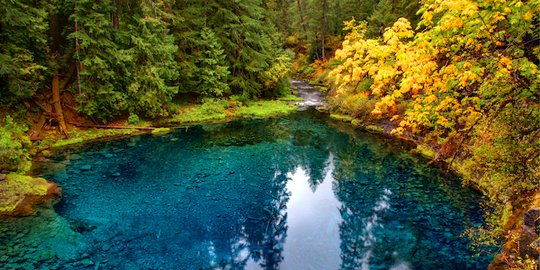 Menikmati keindahan kolam biru Tamolitch di Oregon