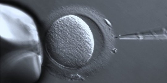 tak warisi dna buruk orang tuanya