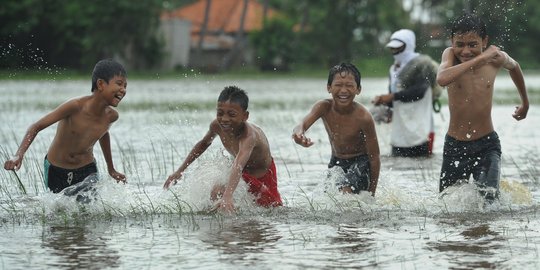 Sawah kebanjiran, petani Banyumas & Cilacap terancam gagal panen