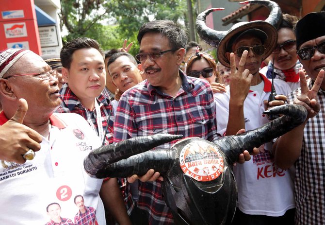 djarot pakai topi banteng